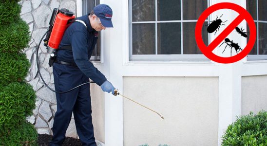 Bahçelievler Böcek ve Haşere İlaçlama böcek ilaçlama ve haşere kontrolü — ilaclama-tr.com